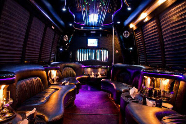 15 Person Party Bus Rental Elk Grove